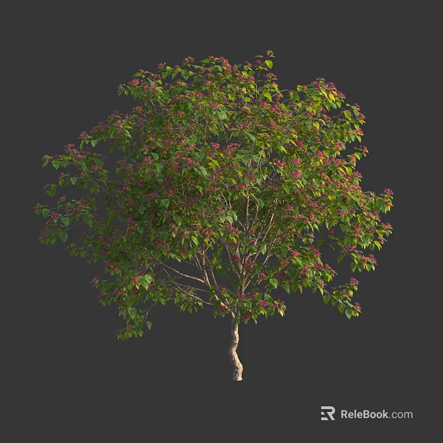 Lush Deciduous Arbor With Green Foliage And Red Blossoms On Light Trunk 3d model 