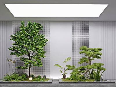 Modern landscape sketch courtyard sketch plant landscaping rockery stone indoor landscape plant pile ferns model