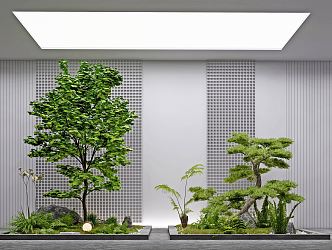 Modern landscape sketch courtyard sketch plant landscaping rockery stone indoor landscape plant pile ferns 3d model