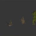 Different Plants Featuring Seedlings Roots Leaves And Colorful Mushrooms