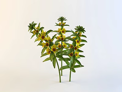 Blooming Yellow Flowers With Green Leaves And Fresh Plant Stems 3d model