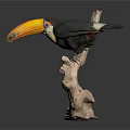 Modern Peco toucan 3d model