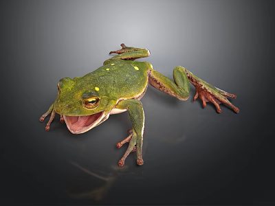 Green Tree Frog With Yellow Spots Open Mouth On Dark Background 3d model