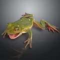 Green Tree Frog With Yellow Spots Open Mouth On Dark Background