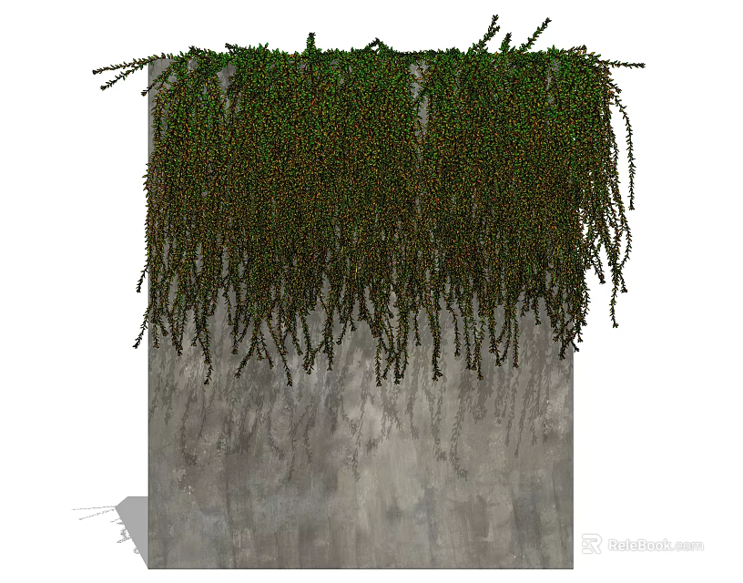 Natural Green Vines Cascading Over Textured Concrete Wall Surface 3d model 