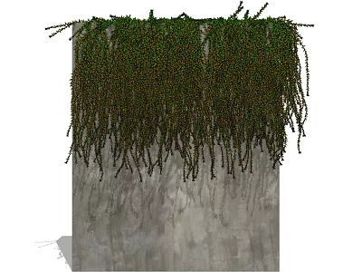Natural Green Vines Cascading Over Textured Concrete Wall Surface 3d model
