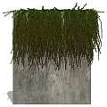 Natural Green Vines Cascading Over Textured Concrete Wall Surface 3d model