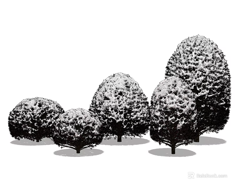 Five Snow Covered Arborvitae Trees With Various Sizes And Rounded Oval Canopies 3d model 