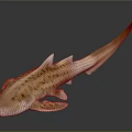 Spotted Shark Featuring Light Brown White Dorsal Fins Tail Fin On Dark Background With Reflection