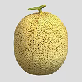 Fresh Oval Shaped Yellow Cantaloupe With Netted Skin And Green Stem On Gray Background
