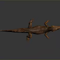 3D Rendered Orange Reptile Crocodile With Scaly Skin Lying On Gray Background