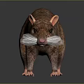 Realistic 3D Rendered Brown Rat With Pink Ears And Long Tail Standing On Dark Surface