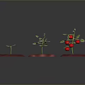 Red Square Planting Mats with Tomato Plants in Different Growth Stages