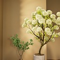 Modern Green Plant Potted Wood Hydrangea Landscape Bonsai 3d model