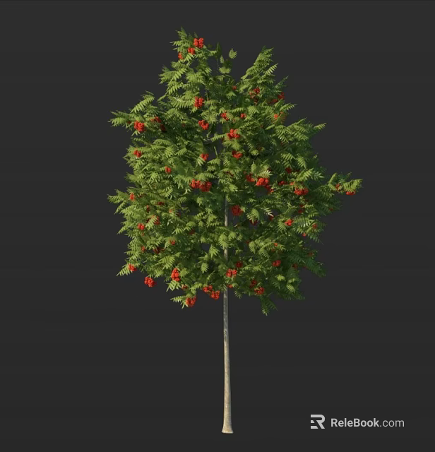 Lush Green Leafy Arbor With Plentiful Red Fruits And Vibrant Foliage 3d model 