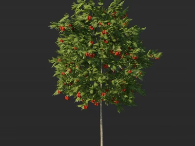 Lush Green Leafy Arbor With Plentiful Red Fruits And Vibrant Foliage 3d model