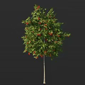 Lush Green Leafy Arbor With Plentiful Red Fruits And Vibrant Foliage