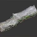 Weathered Wooden Log With Green Moss Growth And Metallic Surface Texture