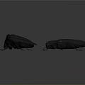 Two Black Beetles With Unique Design And Smooth Glossy Surface On Gray Background 3d model