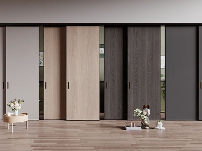 Modern sliding door model