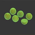 Six Ripe Oranges Including One Half Cut on Smooth Gray Surface with Reflections