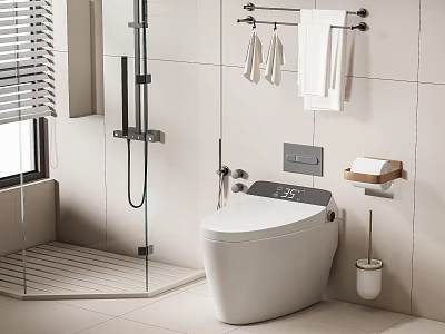 Contemporary Smart Toilet Bathroom With Towel Rack Soap Dish and Shower Area 3d model