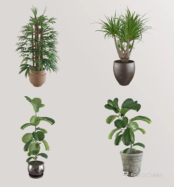 Various Indoor Potted Plants With Different Pots And Green Leaves 3d model