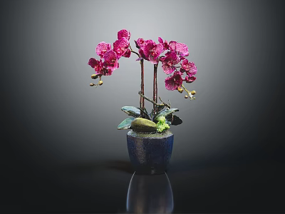 Purple Orchid Plant With Vibrant Blooms In Blue Ceramic Pot And Green Leaves 3d model