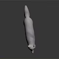 White Fox 3D Model Standing With Yellow Belly On Black Background And Reflection