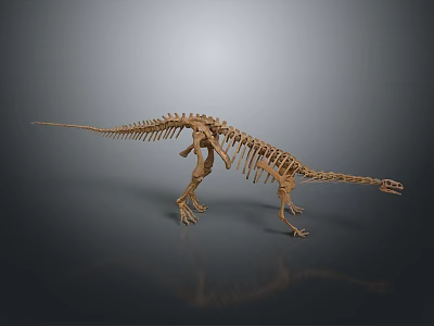 Prehistoric Dinosaur Skeleton Fossil Model Display With Detailed Bone Structure 3d model