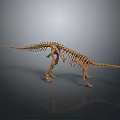 Prehistoric Dinosaur Skeleton Fossil Model Display With Detailed Bone Structure 3d model