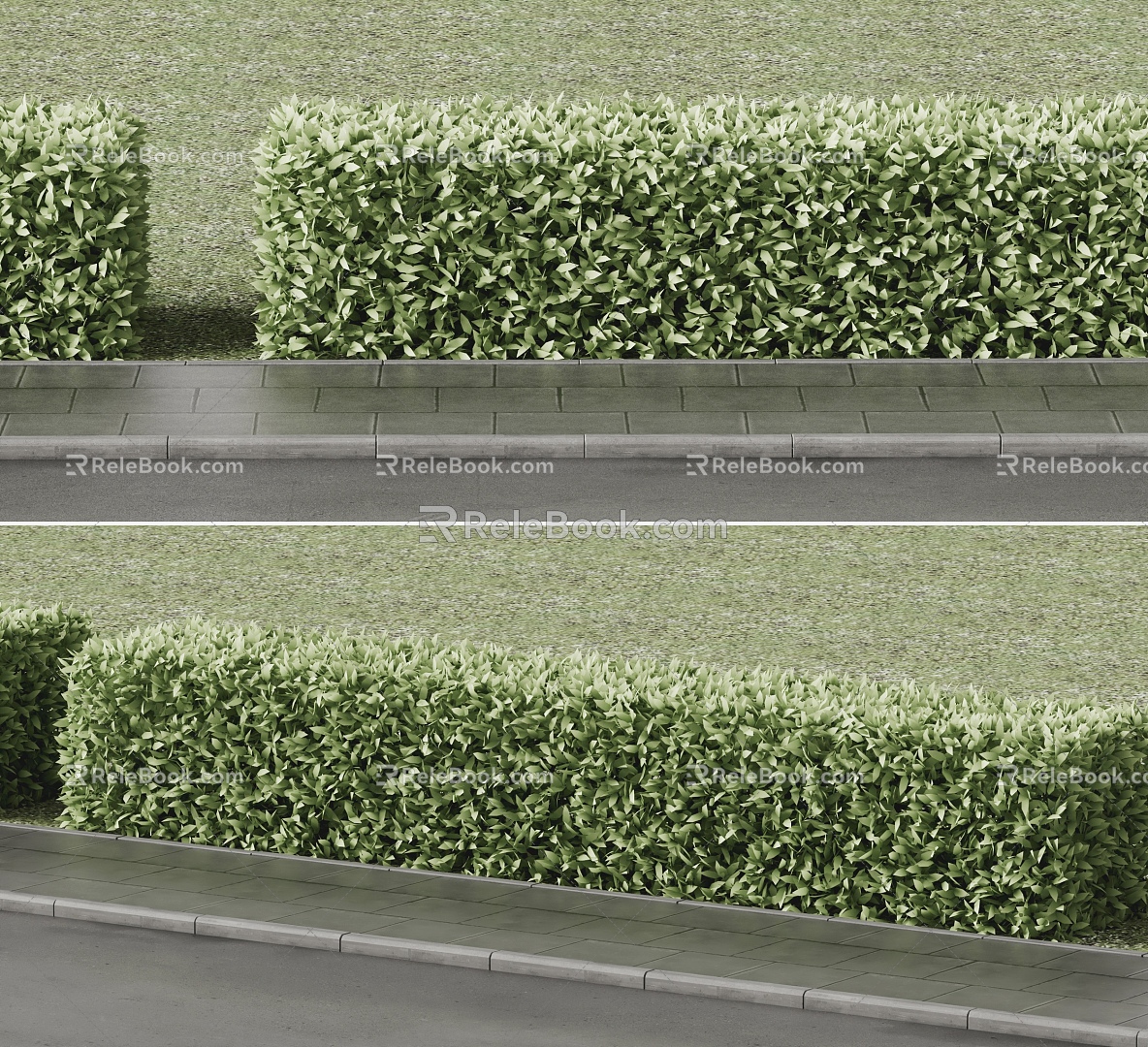 Lawn shrubs 3d model