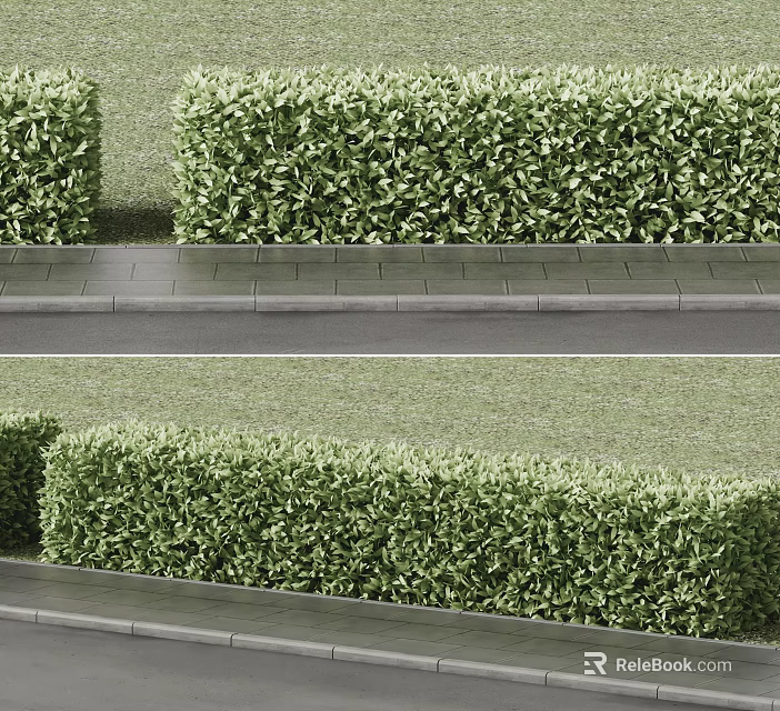 Neatly Trimmed Green Hedges Along Stone Pathway With Lush Grass in Garden Landscaping 3d model 