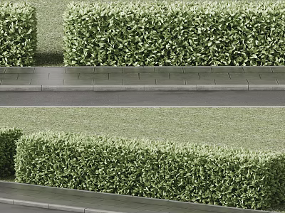 Neatly Trimmed Green Hedges Along Stone Pathway With Lush Grass in Garden Landscaping 3d model