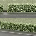 Neatly Trimmed Green Hedges Along Stone Pathway With Lush Grass in Garden Landscaping