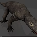 Close Up View Of Reptile With Scaly Skin Sharp Claws Long Tail And Open Mouth