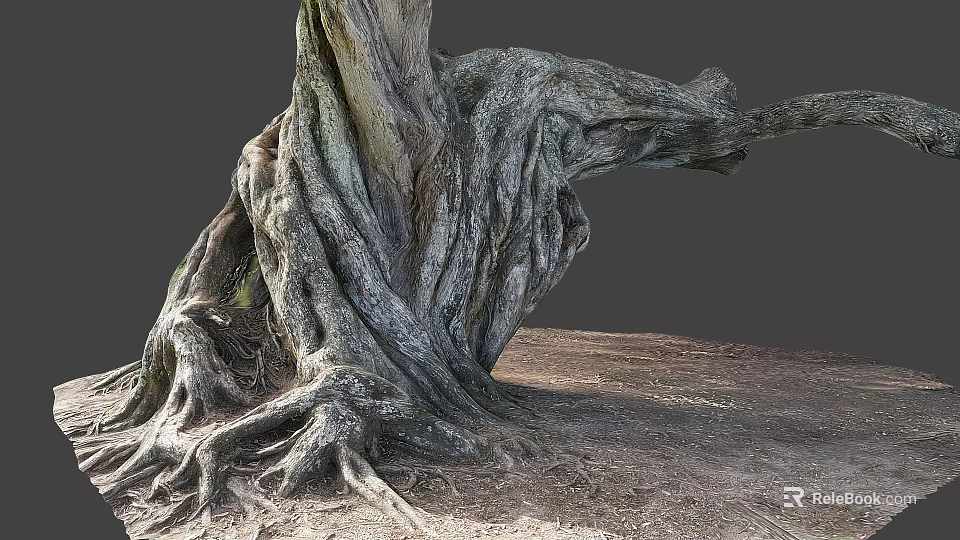 Natural Gnarled Tree Roots With Thick Wooden Trunk And Stone Ground Texture 3d model 