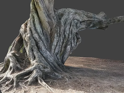 Natural Gnarled Tree Roots With Thick Wooden Trunk And Stone Ground Texture 3d model
