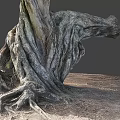 Natural Gnarled Tree Roots With Thick Wooden Trunk And Stone Ground Texture
