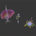 Vibrant Diverse Plants Featuring Purple Red And Orange Flowers On Black Background