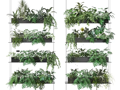 Indoor Multi Tiered Shelves With Lush Potted Green Plants And Hanging Foliage Decor 3d model