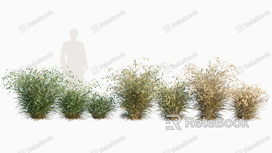 modern grass weed model