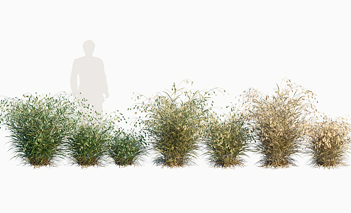 modern grass weed 3d model