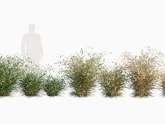 modern grass weed 3d model