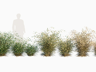 modern grass weed 3d model