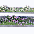 Beautiful Tree Pit With Colorful Flowers White Purple Blooms And Green Lawn