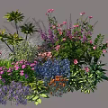 Diverse Garden Plant Combination Featuring Palm Leaves Purple Pink Blue Flowers And Green Shrubs