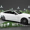 Lush Plant Combination With White Mercedes Car Letter E Gravel Ground And Star Shaped Lights