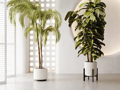 Potted Palm Tree And Monstera Plants In White Pots For Modern Interior Decor 3d model