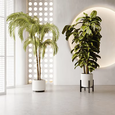 Potted Palm Tree And Monstera Plants In White Pots For Modern Interior Decor 3d model